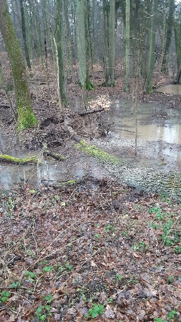 20230203_162930_resized groß.jpg